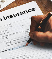 Tishmo Insurance